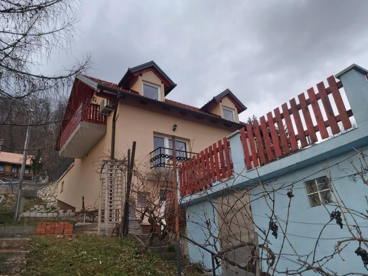Issy View House Villa Senovo Exterior photo